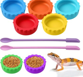 gecko food diet