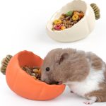 guinea pig food