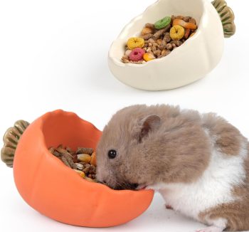guinea pig food