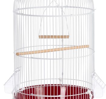 bird cage indoor