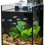 aquarium kit complete
