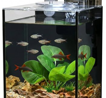 aquarium kit complete
