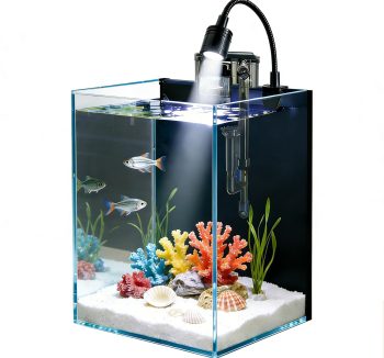 fish tank setup kit