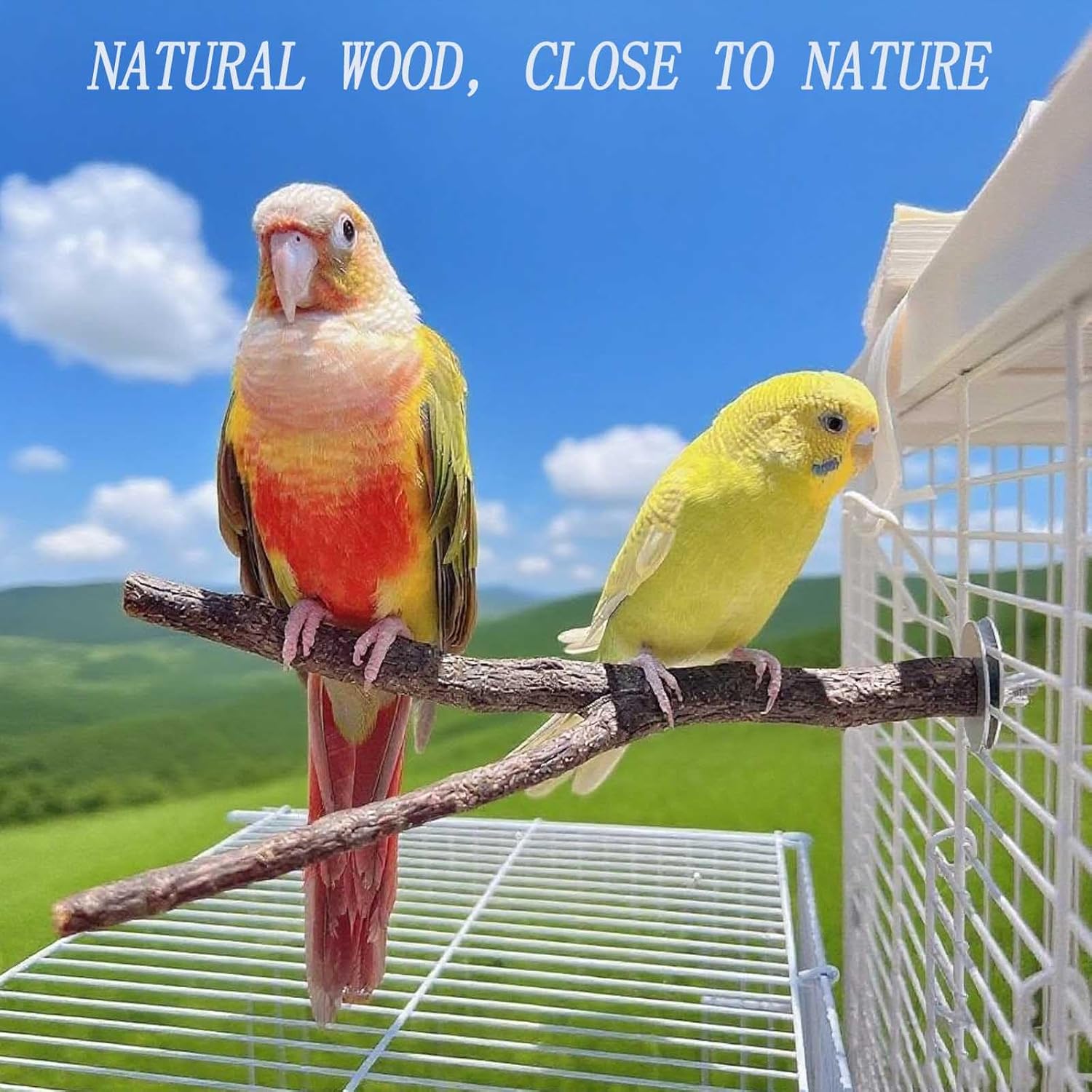 8 PCS Natural Wood Bird Perches Stand for Cage, 5 PCS Parrot Rattan Balls, Wooden Hanging Multi-Branch Perches Platform, Hammock Swing Toy for Parakeets, Budgies, Cockatiels, Conures, Macaws (13 PCS) - Happypetzone.online - Image 7
