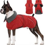 dog apparel luxury