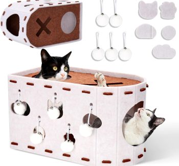 cat wellness products