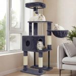 cat tree for big cats