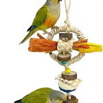 bird toys safe natural