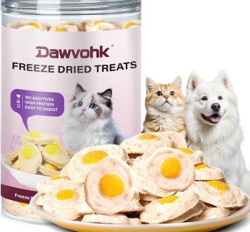 natural cat food