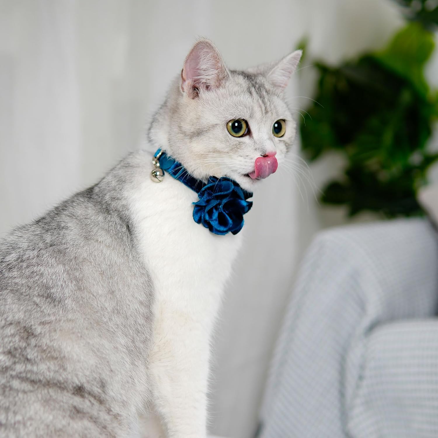 azuza 2 Pack Cat Collar Floral with Bell and Removable Flower Bowtie Breakaway Adjustable Velvet Fabric Cat Collar for Pets and Daily Decoration,Blue & Royal Blue - Happypetzone.online - Image 7