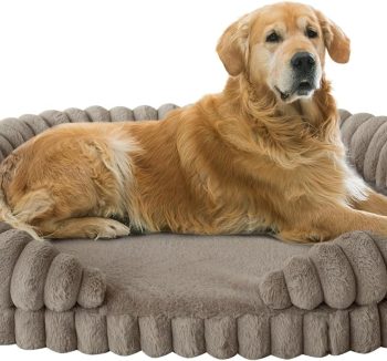 dog sofa bed
