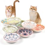 best cat food