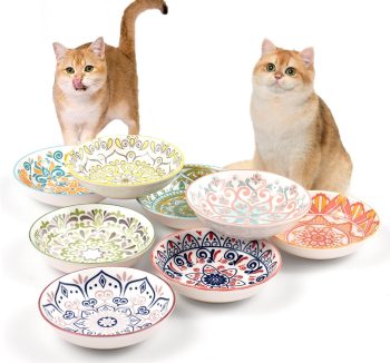 best cat food