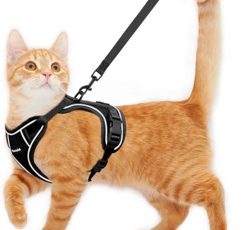 cat harness escape proof
