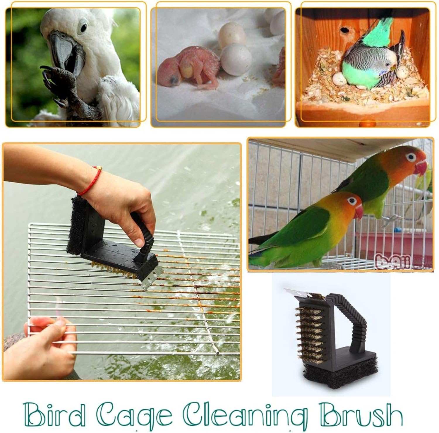 QBLEEV Bird Cage Cleaner, Bird Cage Cleaning Brushes, Multi-Function Stainless Steel Triangle Bird Cage Brush Set, Birdcage Cleaner Poop Off Scrub Brush Kit for Cleaning Bird Cage Perch Kennel - Happypetzone.online - Image 4