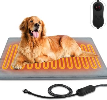 heated dog bed winter