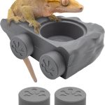 gecko food diet