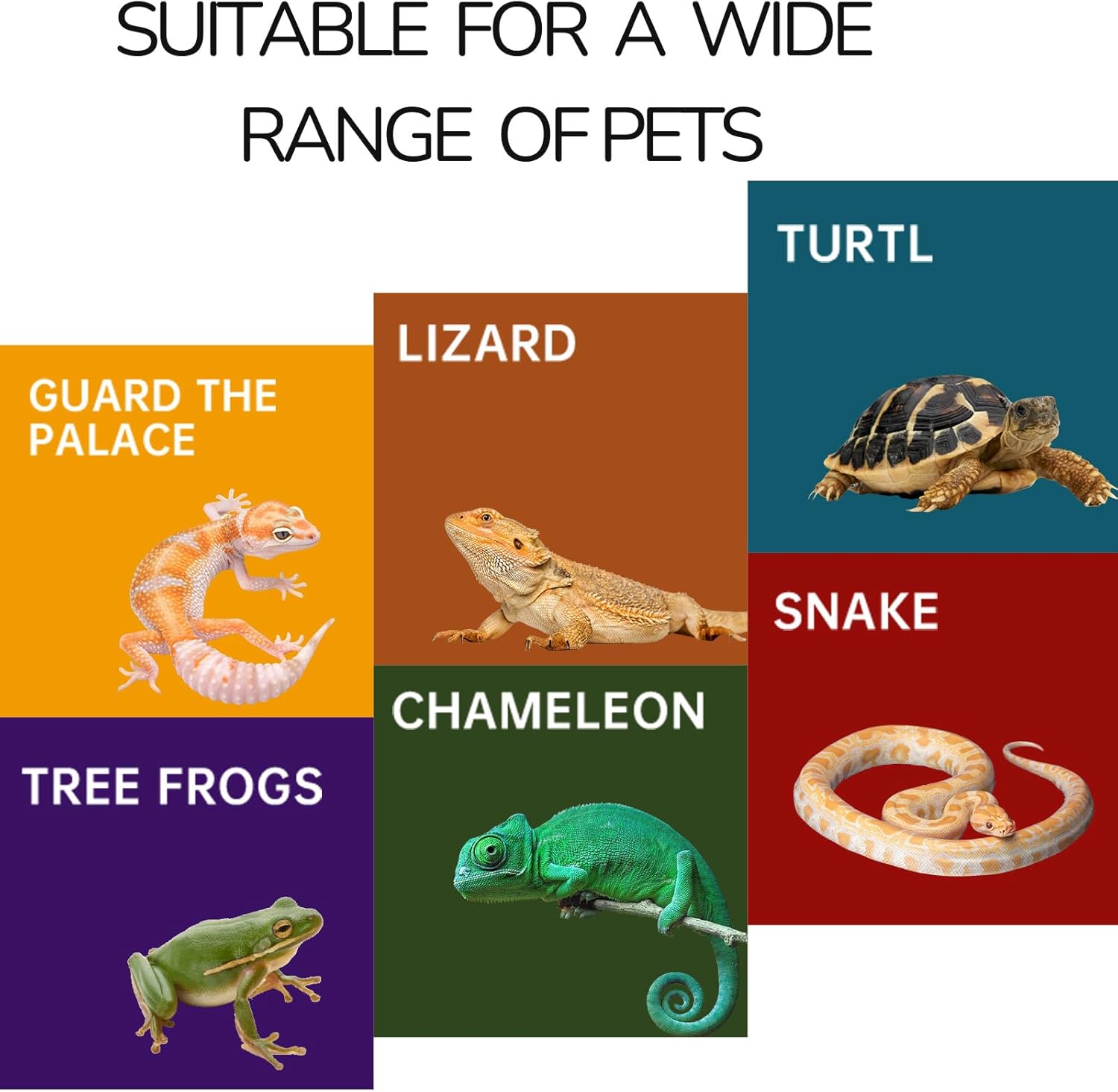 Reptile Hide for Leopard Gecko,Bearded Dragon,Ball Python & Tortoise – Terrarium Habitat Décor, Snake & Lizard Hideout (Resin, Small) - Happypetzone.online - Image 2