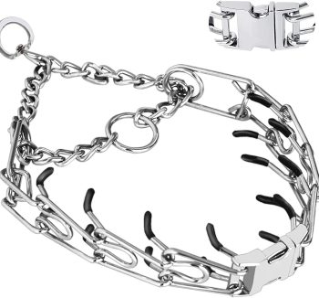dog training tools