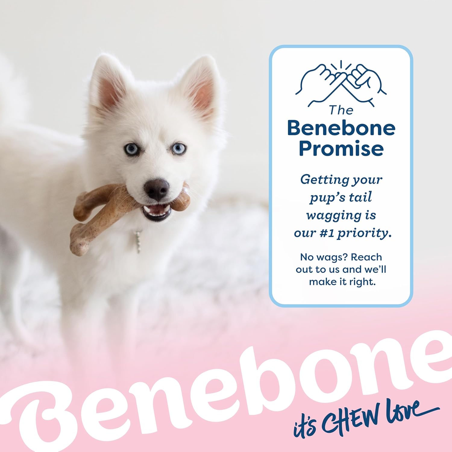 Benebone Puppy Wishbone Dog Chew Toy, Made in USA, Real Bacon Flavor, Small - Happypetzone.online - Image 6