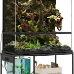 reptile tank terrarium