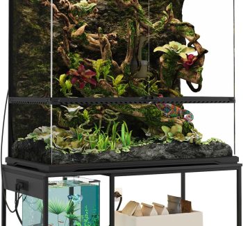 reptile tank terrarium