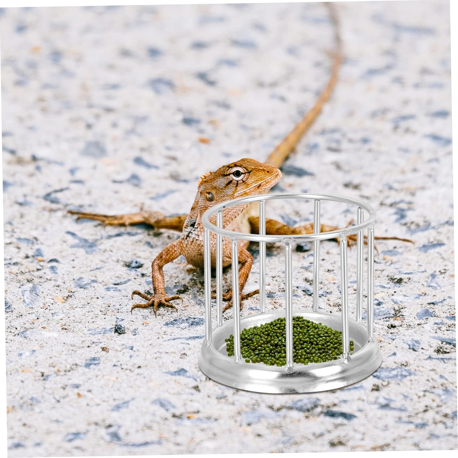 UPKOCH Material Use Compact Design Tortoise Food Pellets Reptile Amphibian Food - Happypetzone.online - Image 7
