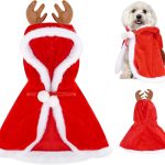 dog christmas outfit