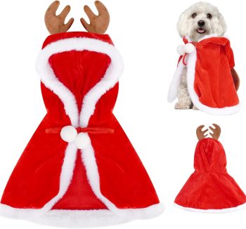 dog christmas outfit