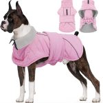 dog apparel luxury