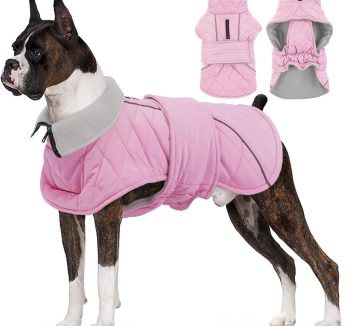 dog apparel luxury