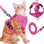 cat harness for small cats