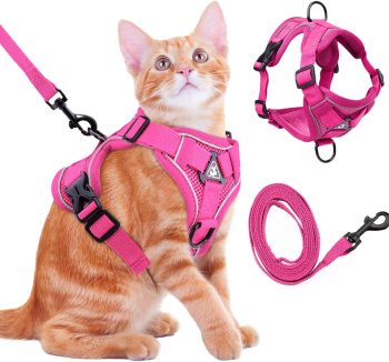 cat harness for small cats