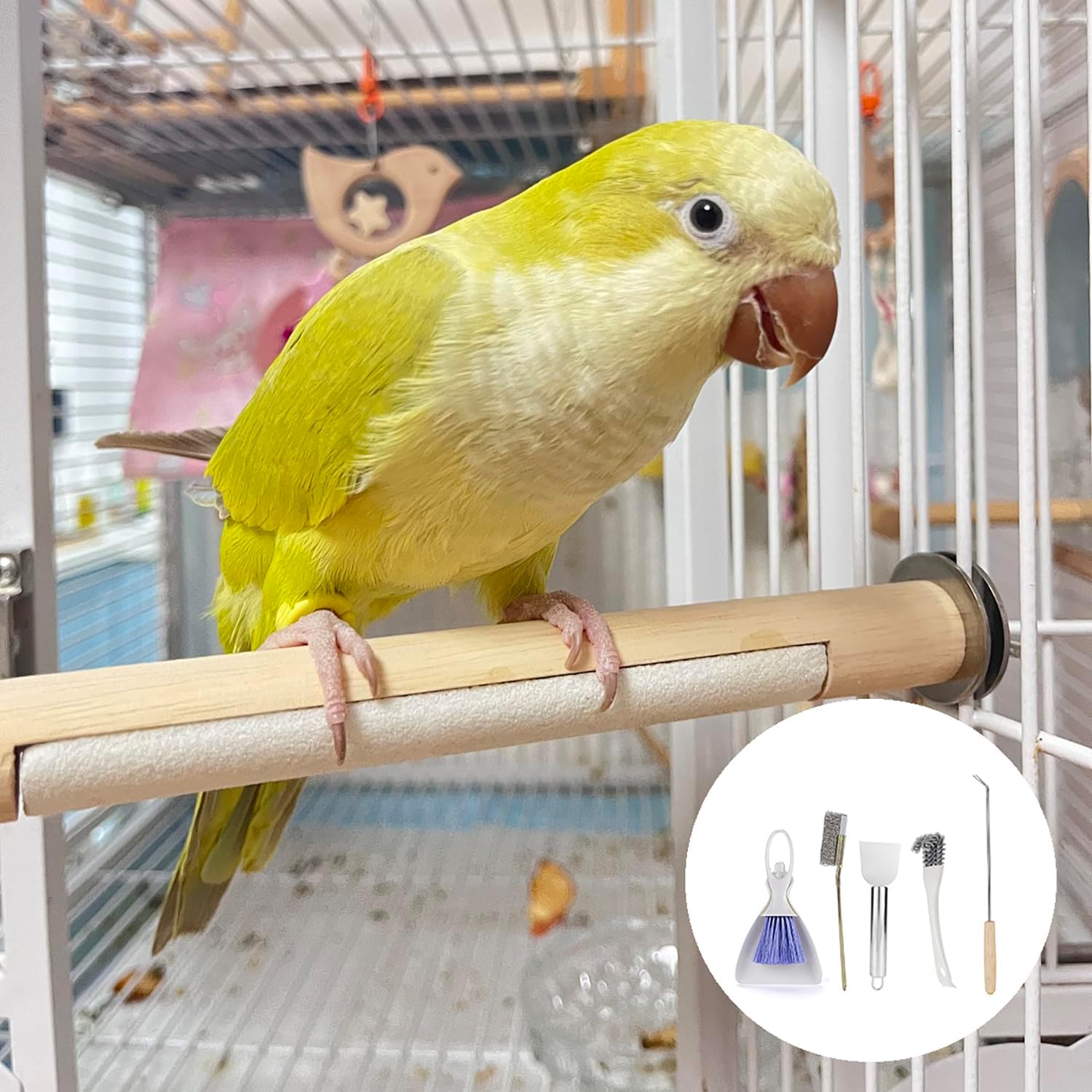 5Pcs Bird Cage Cleaner Set, Stainless Steel Poop Remover & Scraper Tool, Bird Cage Accessories for Small Animal Parakeet Hamster Rabbit Bird Cage Accessories - Happypetzone.online - Image 6