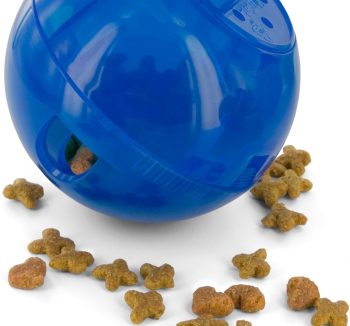 cat enrichment toys