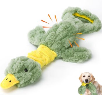 dog toys for aggressive chewers