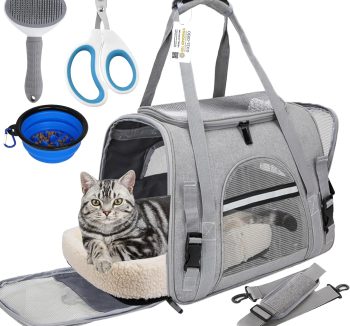 dog transport accessories