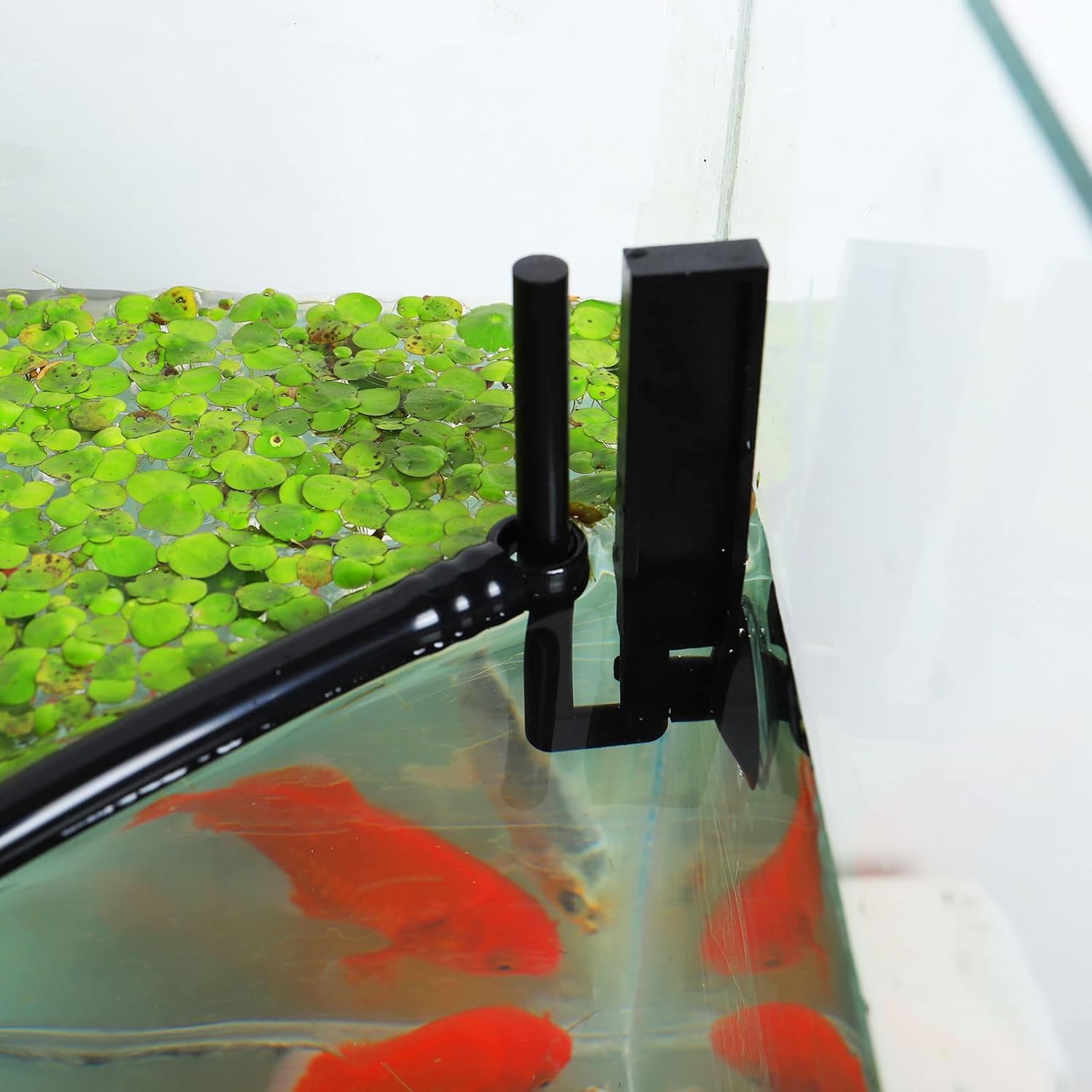 HOZOE Aquarium Floating Plant Corral, Intercepting Floating Plants from Filters and Heaters, Adjustable Height with Water Level, Can Be Used to Framed and Frameless Aquariums. (Style 1) - Happypetzone.online - Image 4