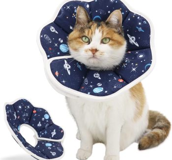 cat collar adjustable