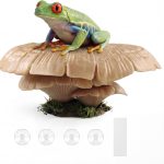 gecko terrarium tank