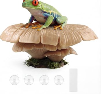 gecko terrarium tank