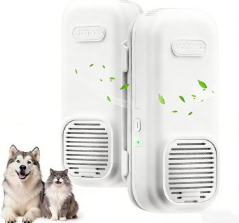 cat litter for odor removal