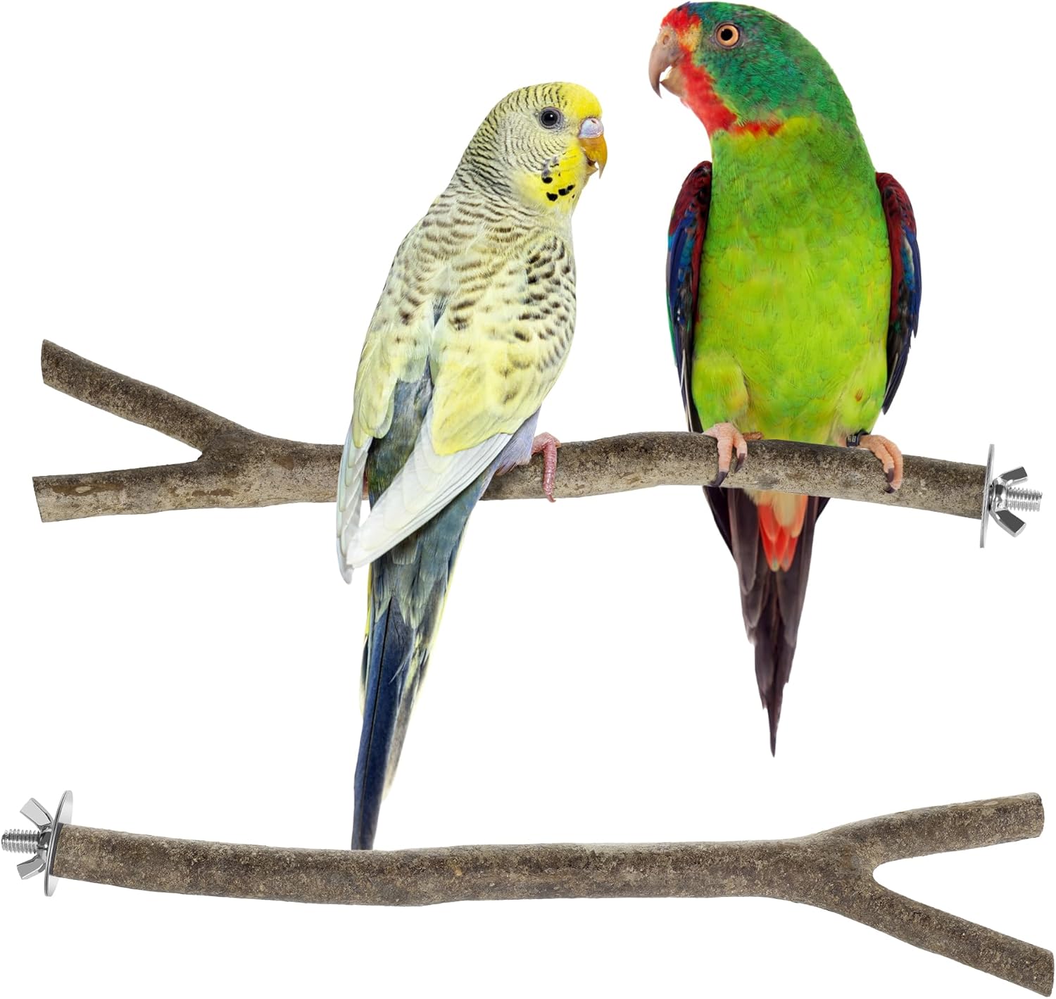bird perch natural wood