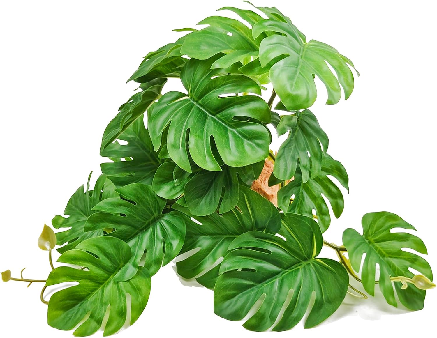 reptile enclosure decor kit