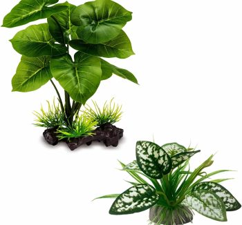 reptile habitat accessories