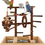 natural bird food