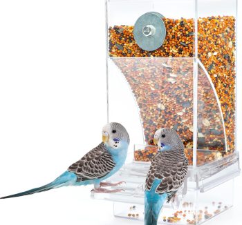 bird cage food feeder