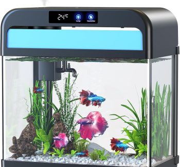 fish tank cheap amazon