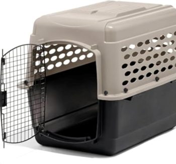 dog travel crate