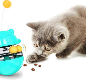 best cat treats
